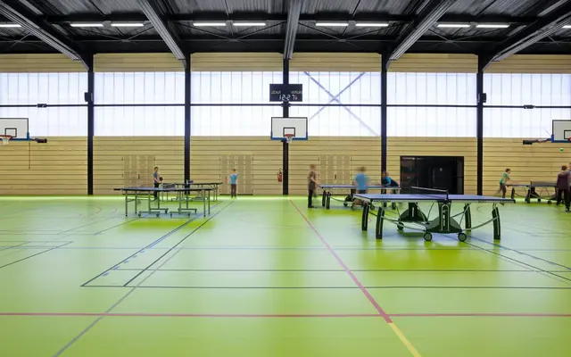 Intérieur du gymnase du collège André Malraux, parquet et charpente bois